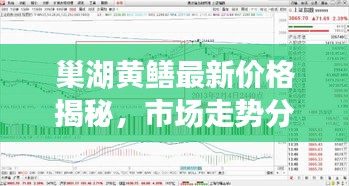 巢湖黄鳝最新价格揭秘，市场走势分析，犯罪问题探讨