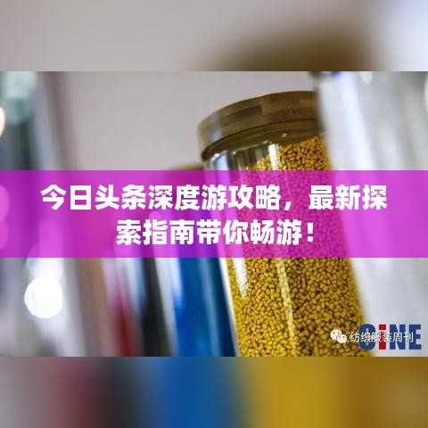 今日头条深度游攻略，最新探索指南带你畅游！