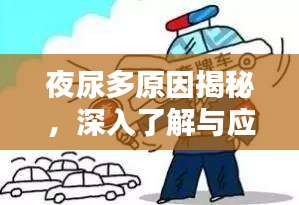 夜尿多原因揭秘，深入了解与应对方法