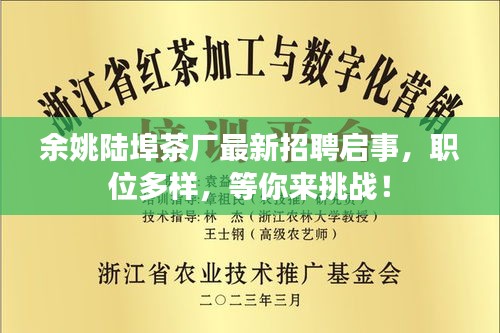 余姚陆埠茶厂最新招聘启事，职位多样，等你来挑战！