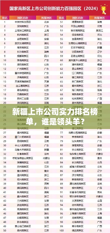 新疆上市公司实力排名榜单，谁是领头羊？