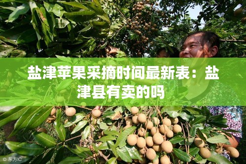 盐津苹果采摘时间最新表：盐津县有卖的吗 