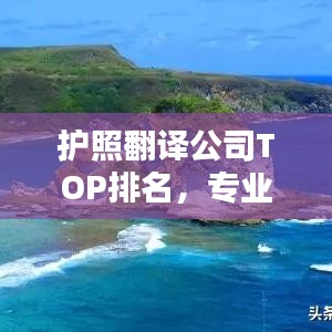 护照翻译公司TOP排名，专业服务品质与业界影响力大揭秘