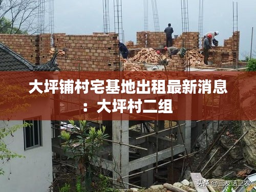 大坪铺村宅基地出租最新消息：大坪村二组 