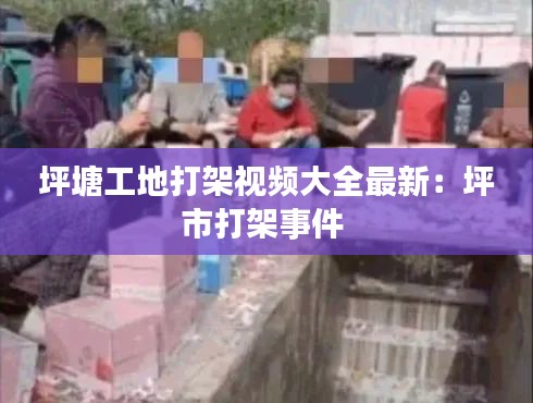 坪塘工地打架视频大全最新：坪市打架事件 