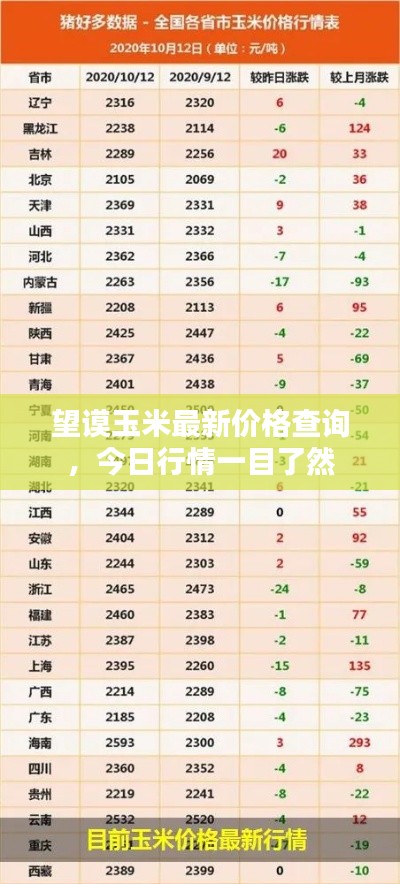 望谟玉米最新价格查询，今日行情一目了然