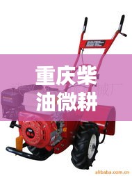 重庆柴油微耕机公司排行榜揭晓，行业领先的几家企业