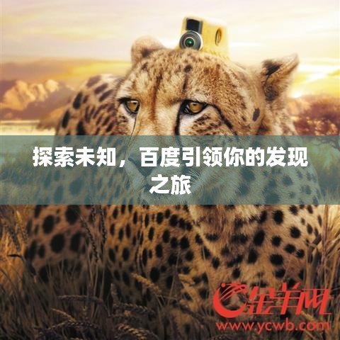 探索未知，百度引领你的发现之旅