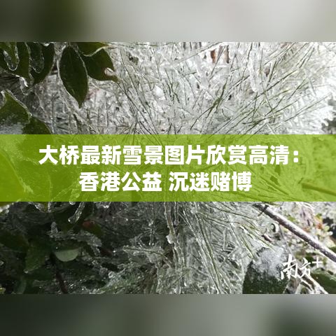 大桥最新雪景图片欣赏高清：香港公益 沉迷赌博 