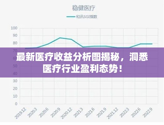 最新医疗收益分析图揭秘，洞悉医疗行业盈利态势！