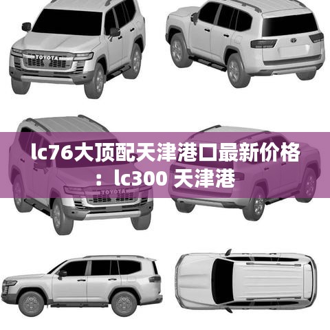 lc76大顶配天津港口最新价格：lc300 天津港 