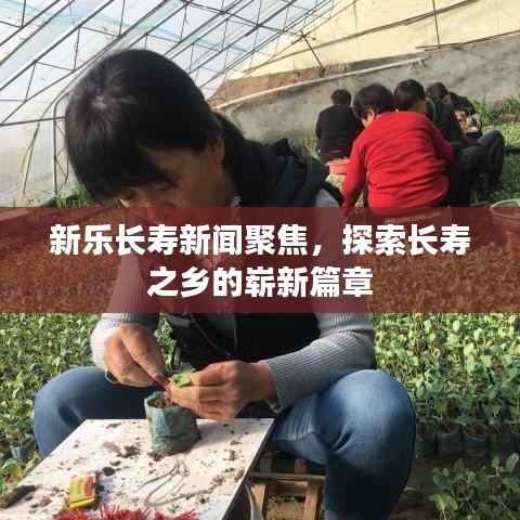 新乐长寿新闻聚焦，探索长寿之乡的崭新篇章