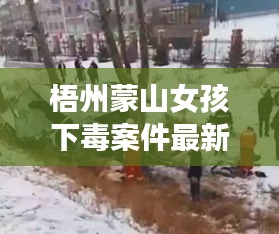 梧州蒙山女孩下毒案件最新进展：梧州蒙山车祸原因 