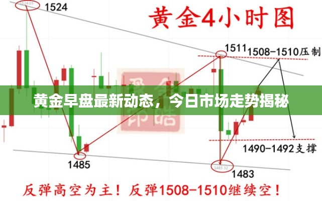 黄金早盘最新动态，今日市场走势揭秘