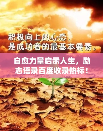 自愈力量启示人生，励志语录百度收录热标！