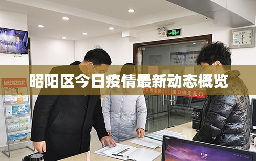 昭阳区今日疫情最新动态概览