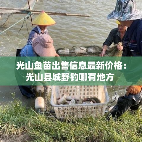 光山鱼苗出售信息最新价格：光山县城野钓哪有地方 