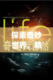 探索奇妙世界，精彩旅游攻略节目不容错过