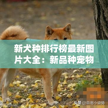 绝无仅有 第2页