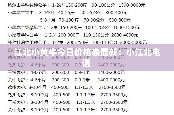 网店开店宝APP 第151页