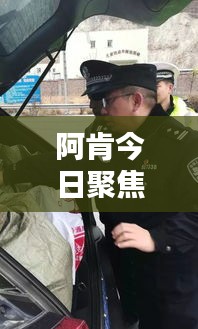 阿肯今日聚焦，最新违法犯罪动态速递