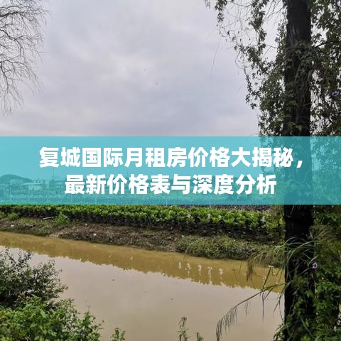 复城国际月租房价格大揭秘，最新价格表与深度分析