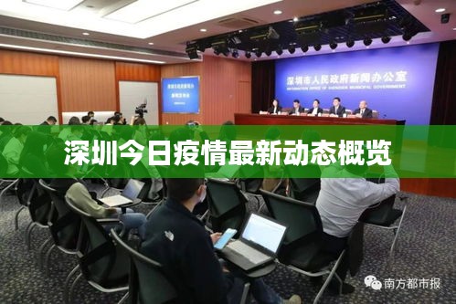深圳今日疫情最新动态概览