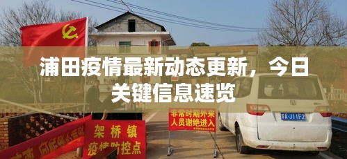 浦田疫情最新动态更新，今日关键信息速览