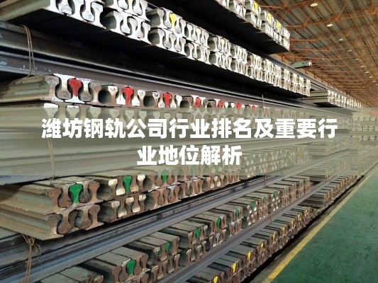 潍坊钢轨公司行业排名及重要行业地位解析