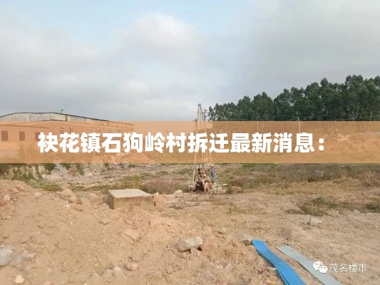 袂花镇石狗岭村拆迁最新消息： 