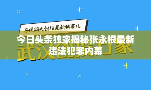 有张没智 第2页