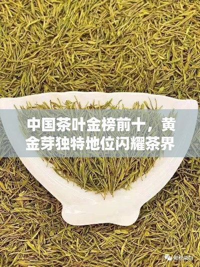中国茶叶金榜前十，黄金芽独特地位闪耀茶界魅力