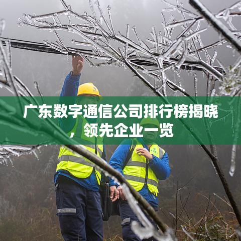 广东数字通信公司排行榜揭晓，领先企业一览