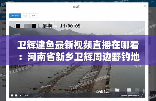 卫辉逮鱼最新视频直播在哪看：河南省新乡卫辉周边野钓地方 