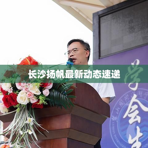 长沙扬帆最新动态速递