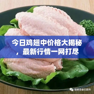 今日鸡翅中价格大揭秘，最新行情一网打尽