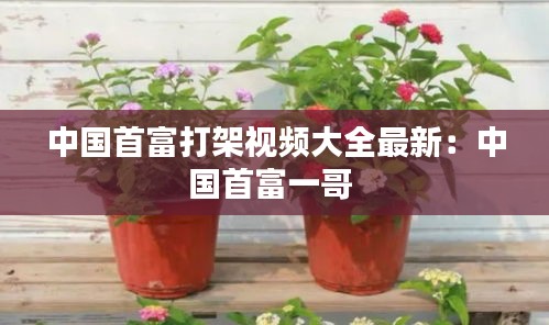 中国首富打架视频大全最新：中国首富一哥 