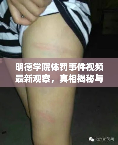 明德学院体罚事件视频最新观察，真相揭秘与深度剖析