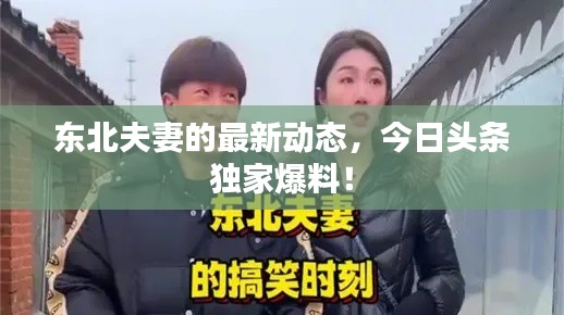 东北夫妻的最新动态，今日头条独家爆料！
