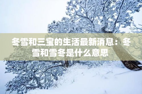 冬雪和三宝的生活最新消息：冬雪和雪冬是什么意思 