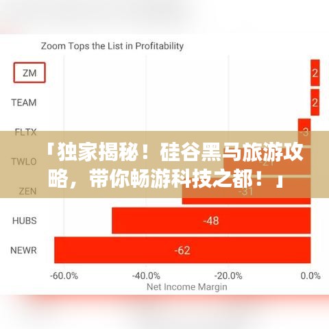「独家揭秘！硅谷黑马旅游攻略，带你畅游科技之都！」