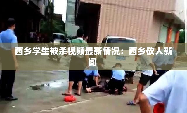 案例见证 第142页