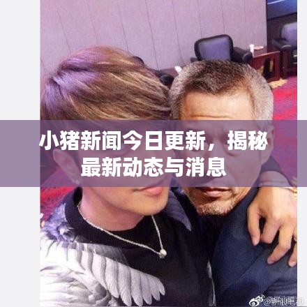 小猪新闻今日更新，揭秘最新动态与消息