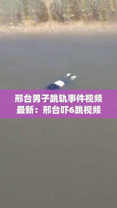 邢台男子跳轨事件视频最新：邢台吓6跳视频 