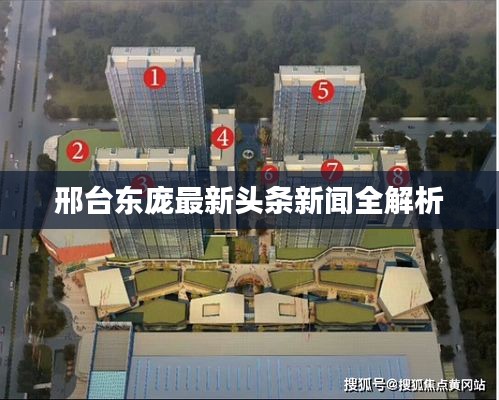 邢台东庞最新头条新闻全解析