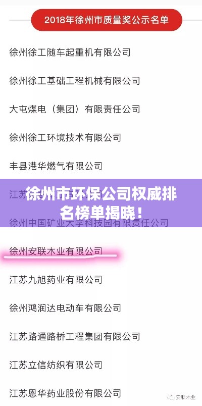徐州市环保公司权威排名榜单揭晓！