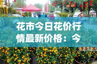 花市今日花价行情最新价格：今日鲜花交易行情 