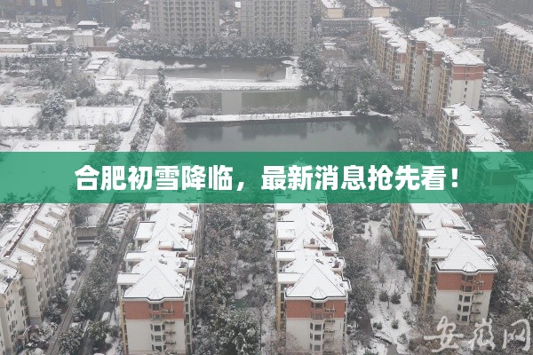 合肥初雪降临，最新消息抢先看！