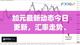 加元最新动态今日更新，汇率走势、市场分析及预测
