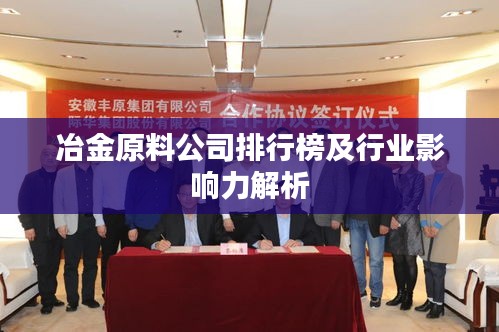 冶金原料公司排行榜及行业影响力解析